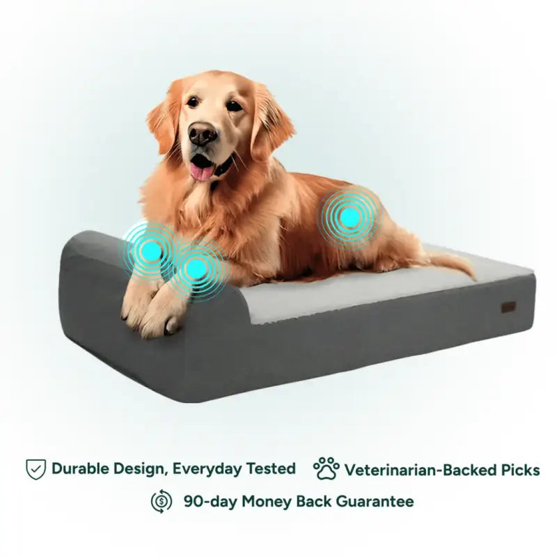 CloudLuxe Orthopädisches Hundebett — Klein