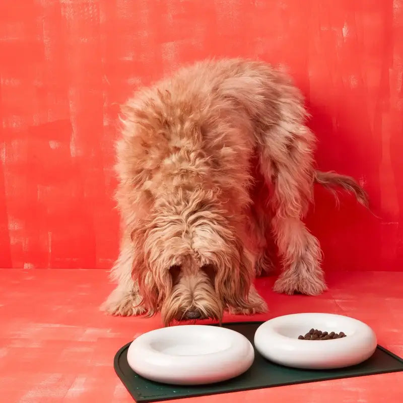 Keramik-Hundenapf handgefertigt — Braun / Klein