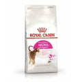 Royal Canin Feline Aroma Exigent — 4kg