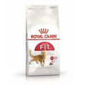 Royal Canin Feline Fit — 4kg
