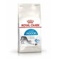 Royal Canin Feline Indoor — 10kg