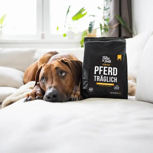 "Perfekt PferdTräglich" - softes Trockenfutter mit 58% Pferd - 5 x 1,5kg