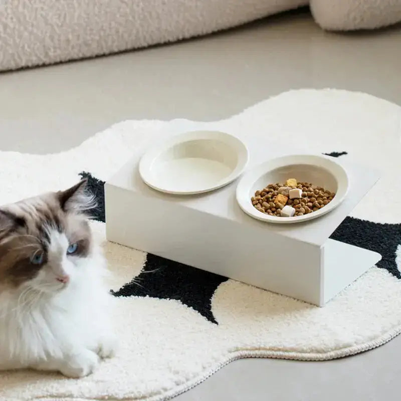 Moderne Design-Futter- und Wasserschale für Katzen und (kleine) Hunde — Grün