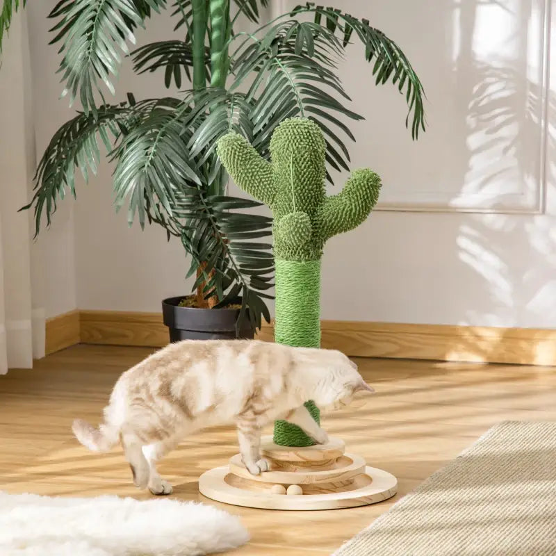 PawHut Katzen Kratzbaum Kaktus