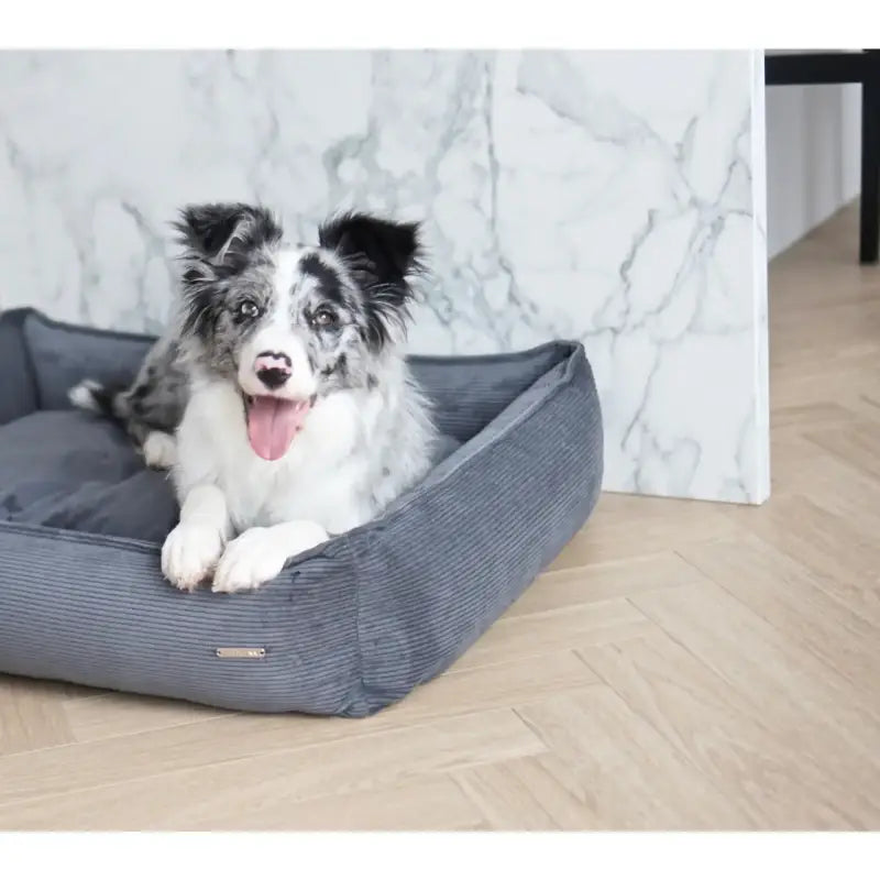 Strippo Hundebett — Grau / 68x52x20cm