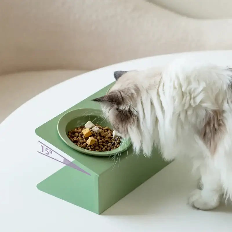 Moderne Design-Futter- und Wasserschale für Katzen und (kleine) Hunde — Grün