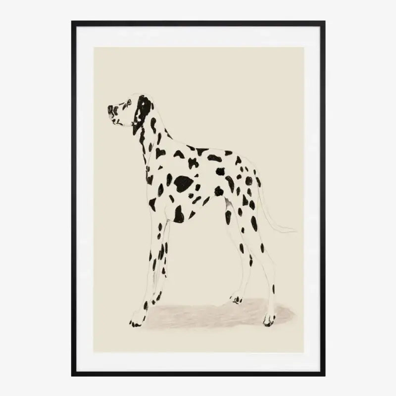 Dalmatiner-Kunstdruck – Linienillustration — 50x70cm / Schwarz