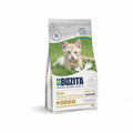 Bozita Kitten Grain free Chicken — 10000g