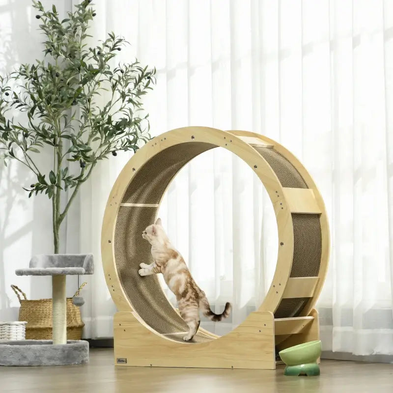 PawHut Katzenlaufrad 91 cm