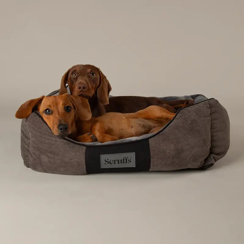 Chester Box Bed — Grau / 75x60cm