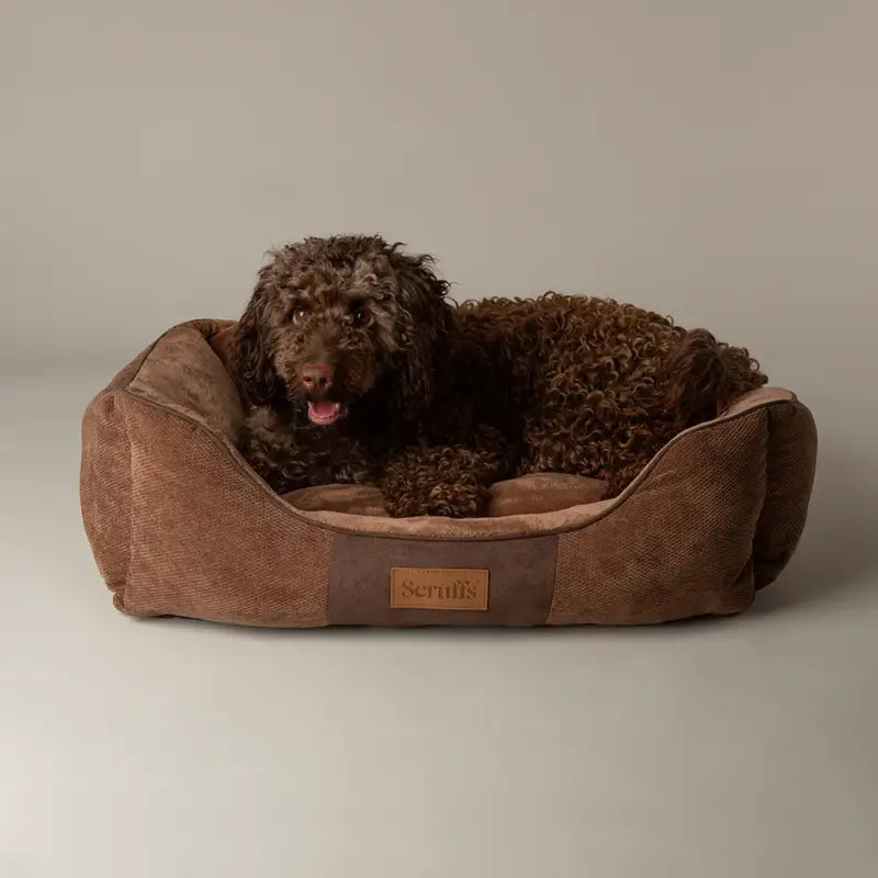 Chester Box Bed — Grau / 75x60cm