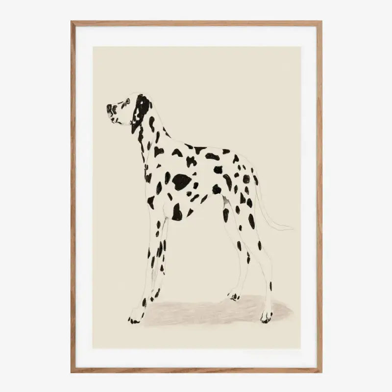 Dalmatiner-Kunstdruck – Linienillustration — 50x70cm / Schwarz
