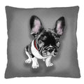Chester Bertoni dekoratives Kissen 40 x 40 cm