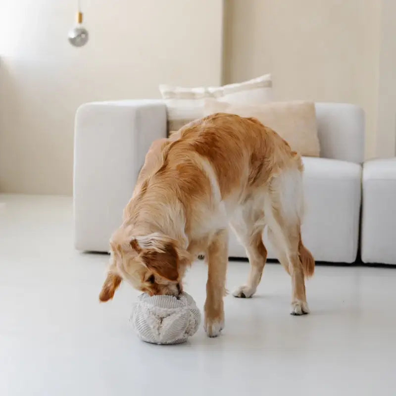 BOBBY — Beige / Groß 19cm