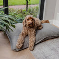 CLASSIC Hundekissen — Urban Taupe