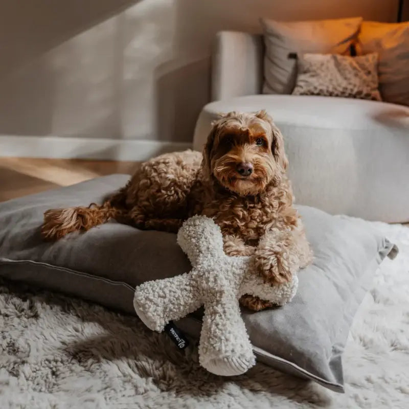 ZIGGY — Beige / 30cm