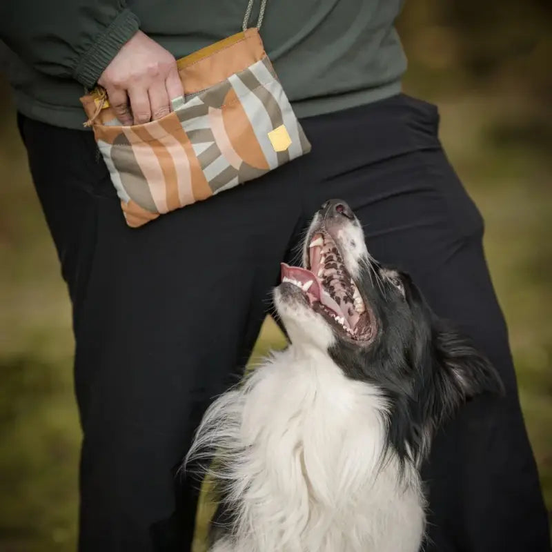 Woolly Wolf Cloudbeam Accessory Bag
