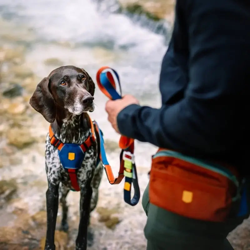 Woolly Wolf Multi-use Leash — Terrakotta