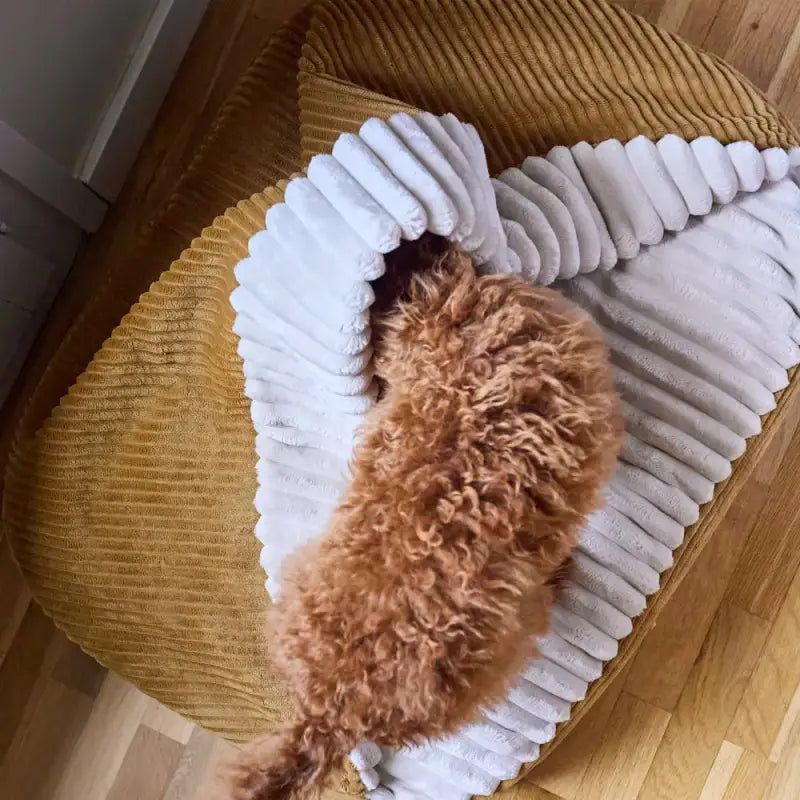 Hundebett mit Kapuze Cord Senf, Maso — 50 x 60 x 10cm