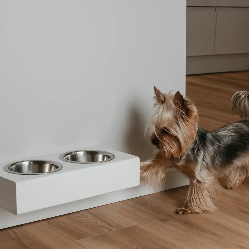 Doppelnapf-Hundefutterstation — 34 x 16 x 7 cm