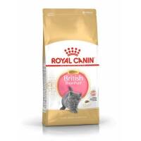 Royal Canin Feline British Shorthair Kitten — 2kg
