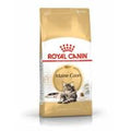 Royal Canin Feline Maine Coon 2kg
