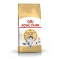 Royal Canin Feline Norwegian Forest Cat — 400g