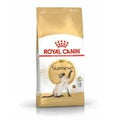 Royal Canin Feline Siamese 2kg