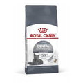 Royal Canin Feline Dental Care — 1,5kg