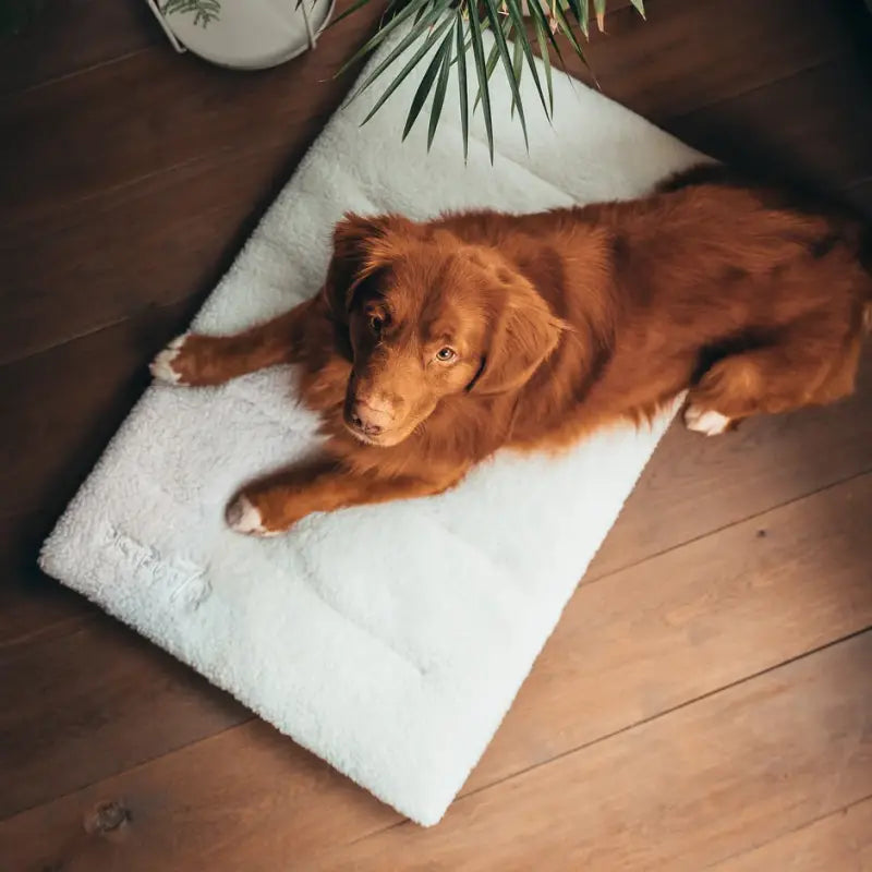 SHERPA Hundeboxmatte — Dunkelgrau / XL