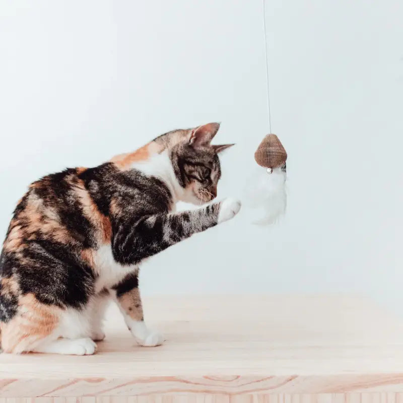 BAIT Katzenangel — Weiß