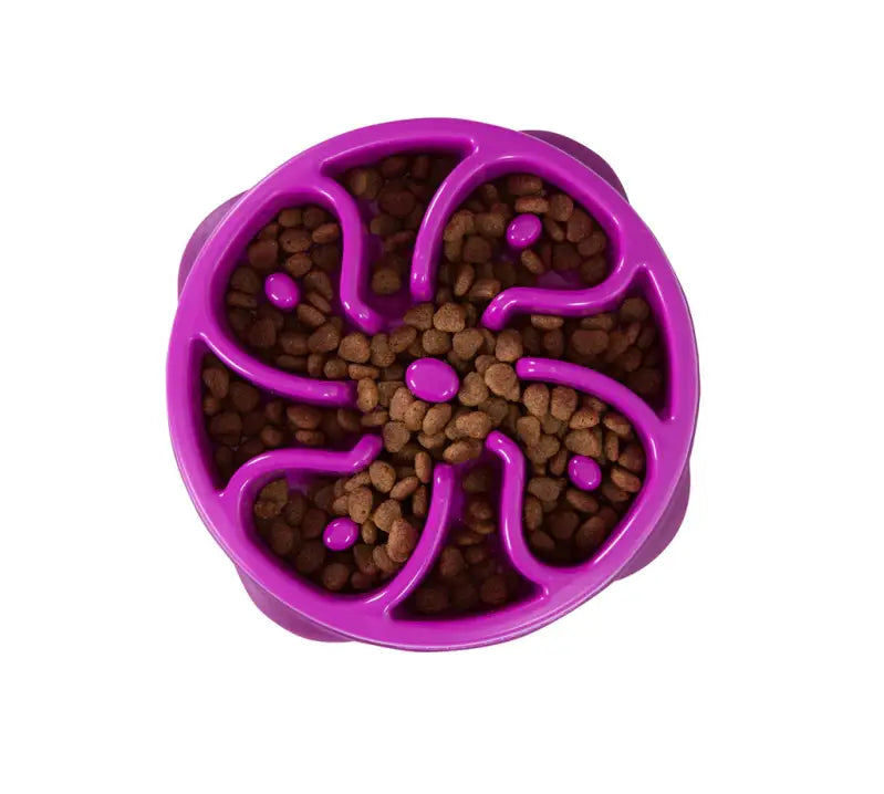 Fun Feeder — Türkis / 950ml
