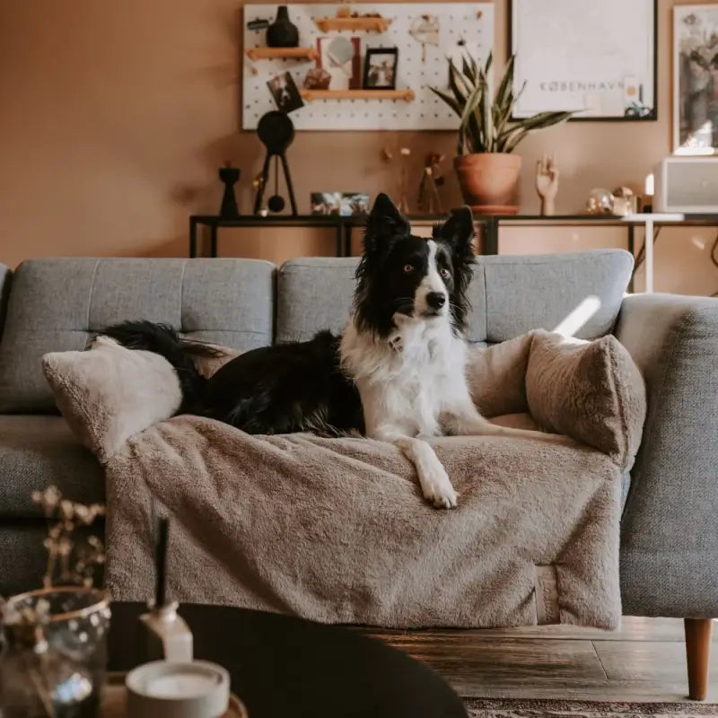 NUZZLE Schlafsofa — Merengue / Groß 85x75x19cm