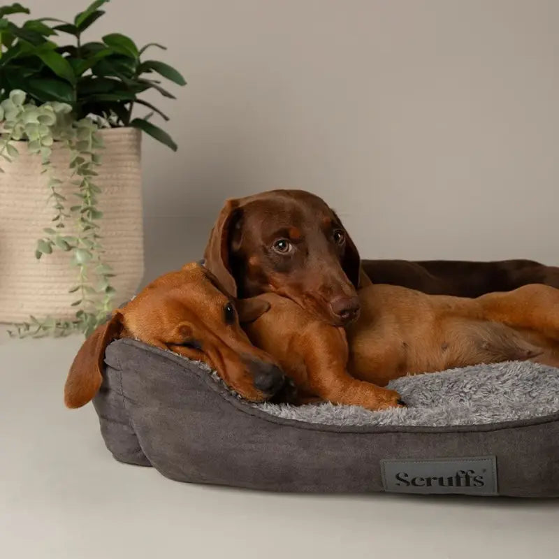 Cosy Box Bed — Grau / Extragroß 90x70cm
