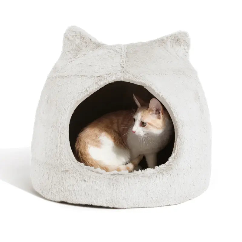 Meow Hut Katzeniglu — Weizen