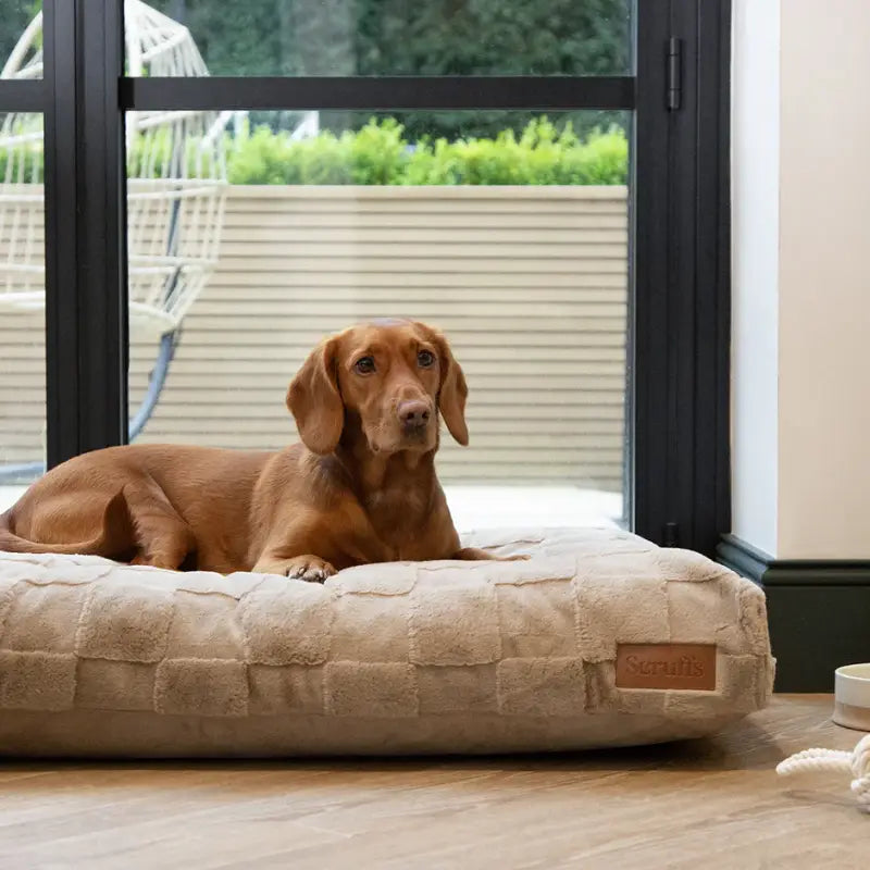 Oxford Orthopädisches Hundekissen — Hellbraun / XL 120x75cm