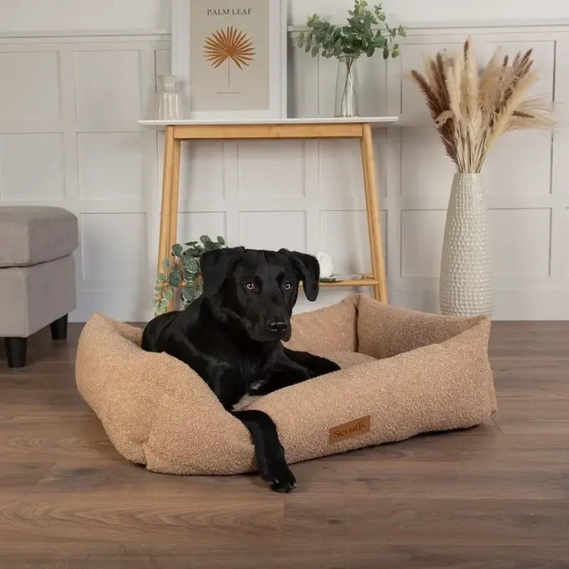 Boucle Box Bed