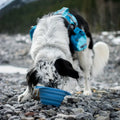 Collaps-a-Bowl faltbarer Reisewassernapf — Blau
