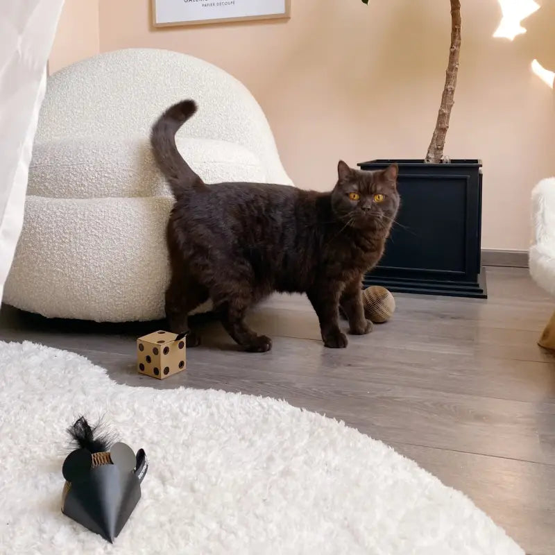GLORY, MOUSE & DICE Geschenkset