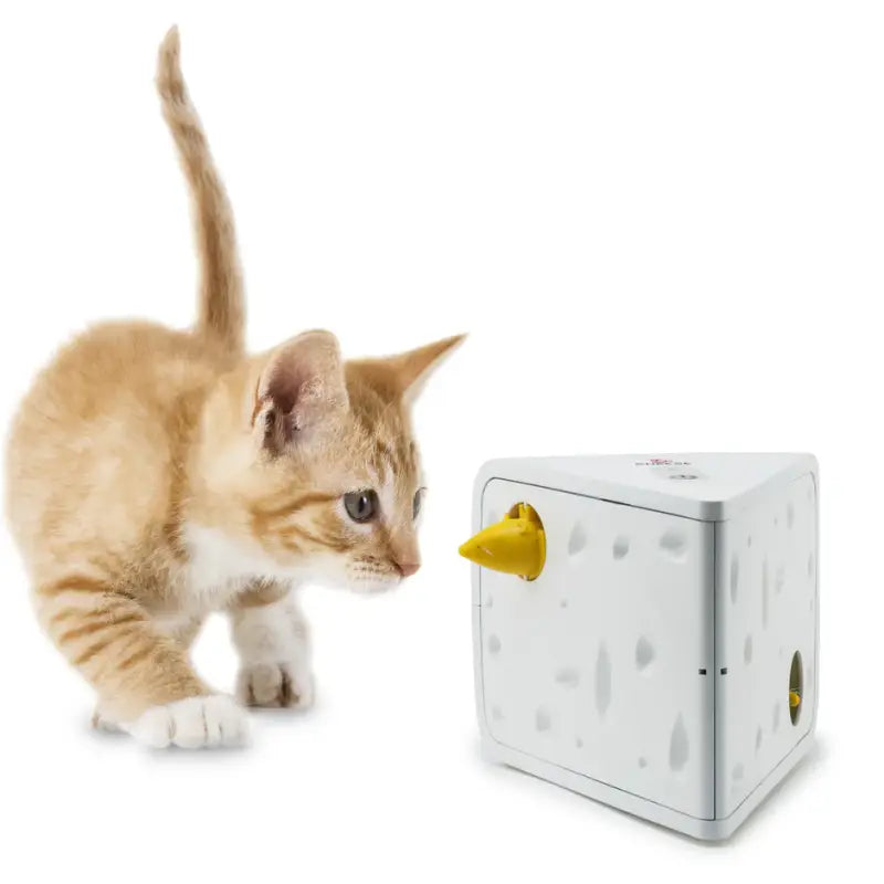 Cheese™ Automatisches Katzenspielzeug
