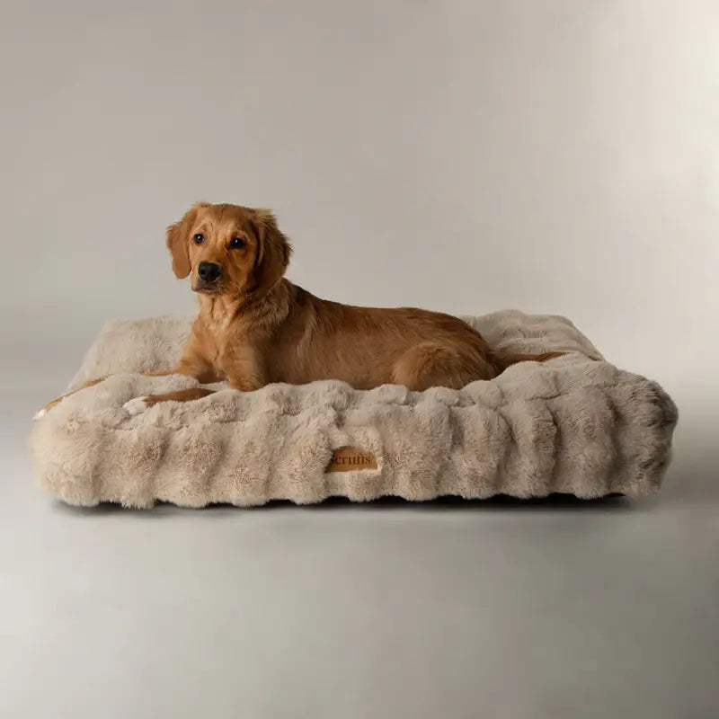 Alpine Matratze — Champagner / 100x70x14cm
