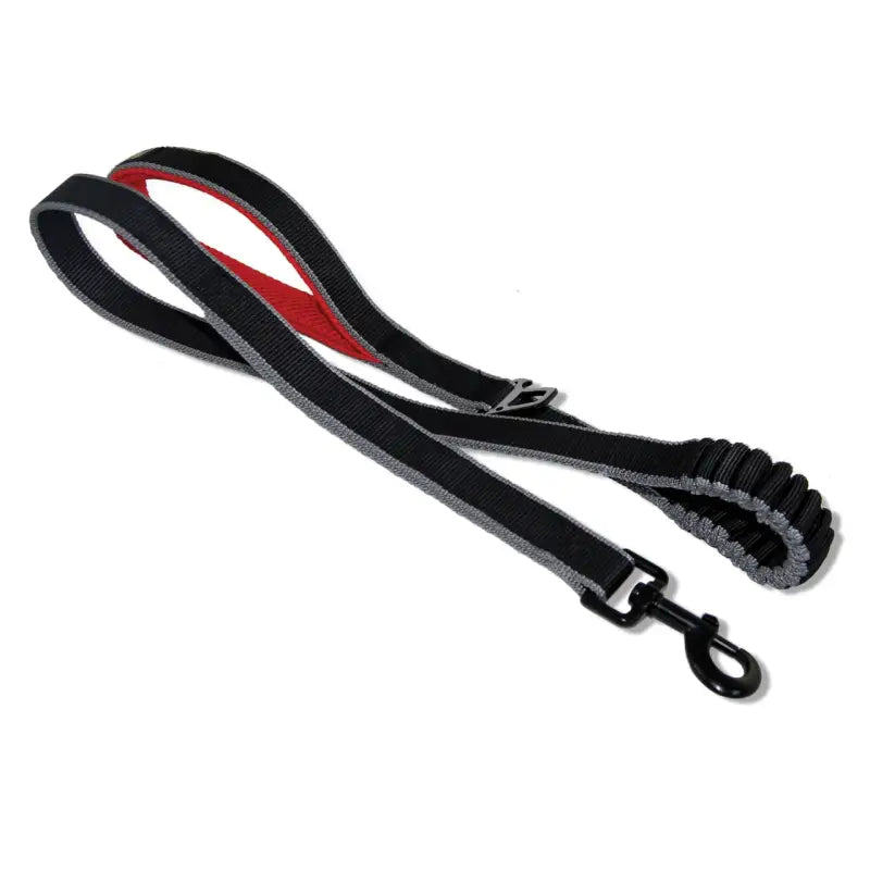Kurgo Springback Leine — 120cm