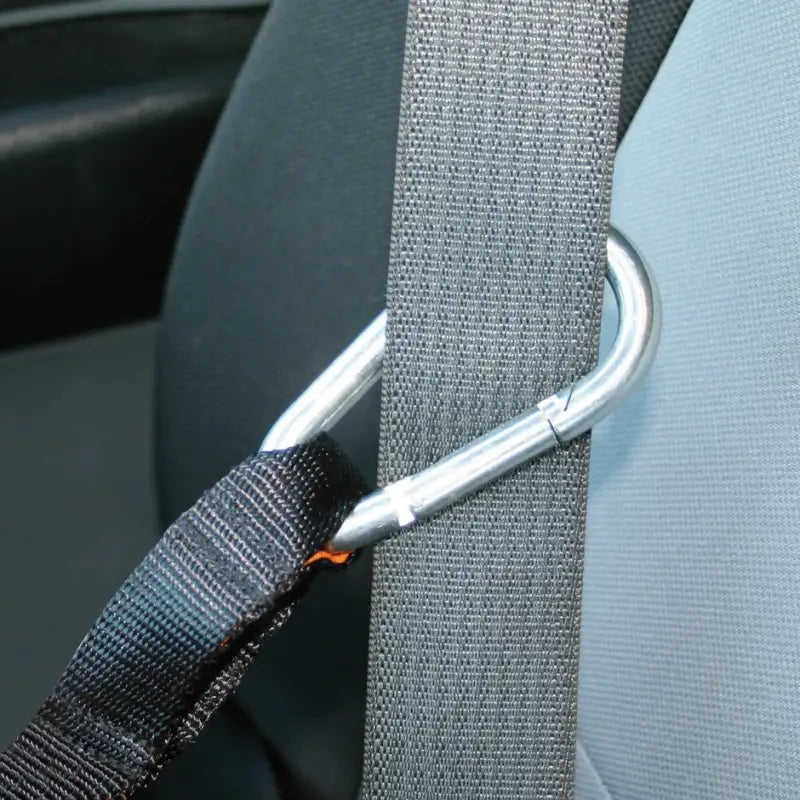 Auto Zip Line für Hunde