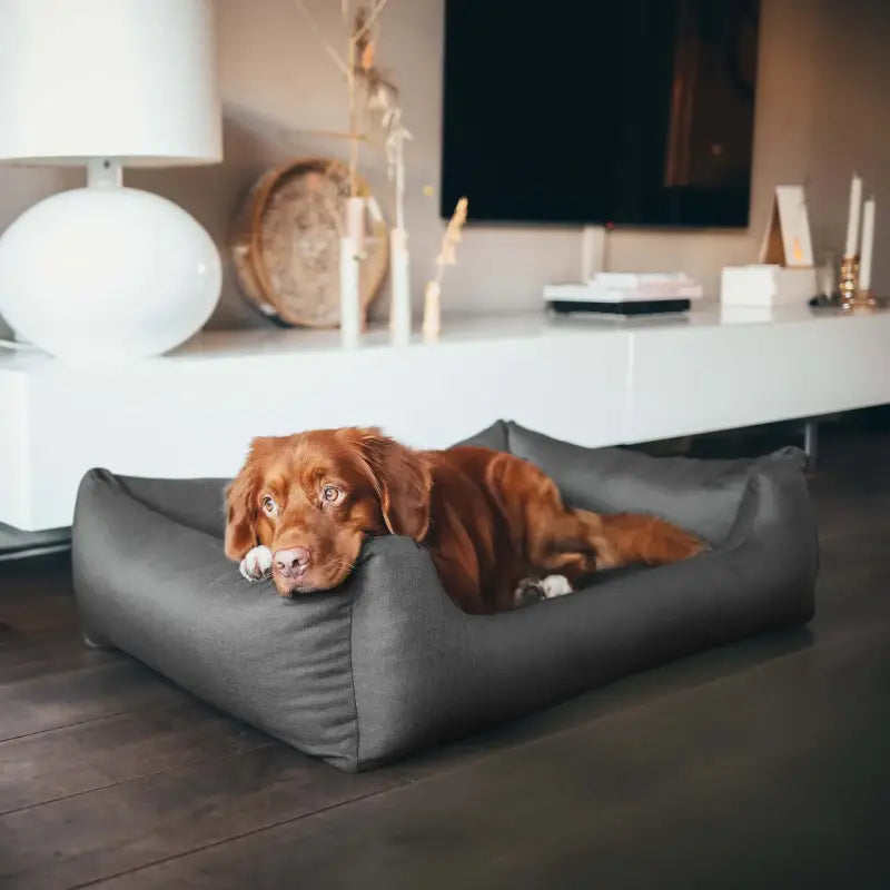 CLASSIC Box Bed — Haigrau / 60x44cm