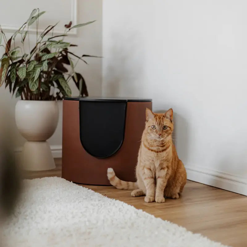 FUSE Design Katzentoilette — Geripptes Zinn / Beige