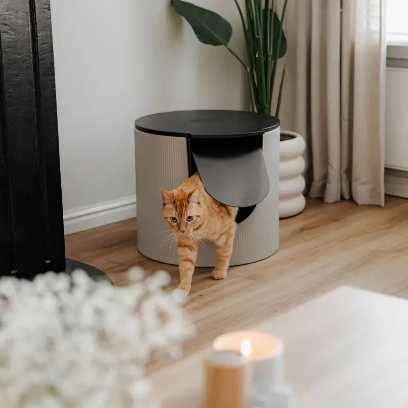 FUSE Design Katzentoilette — Zinn / Weiß