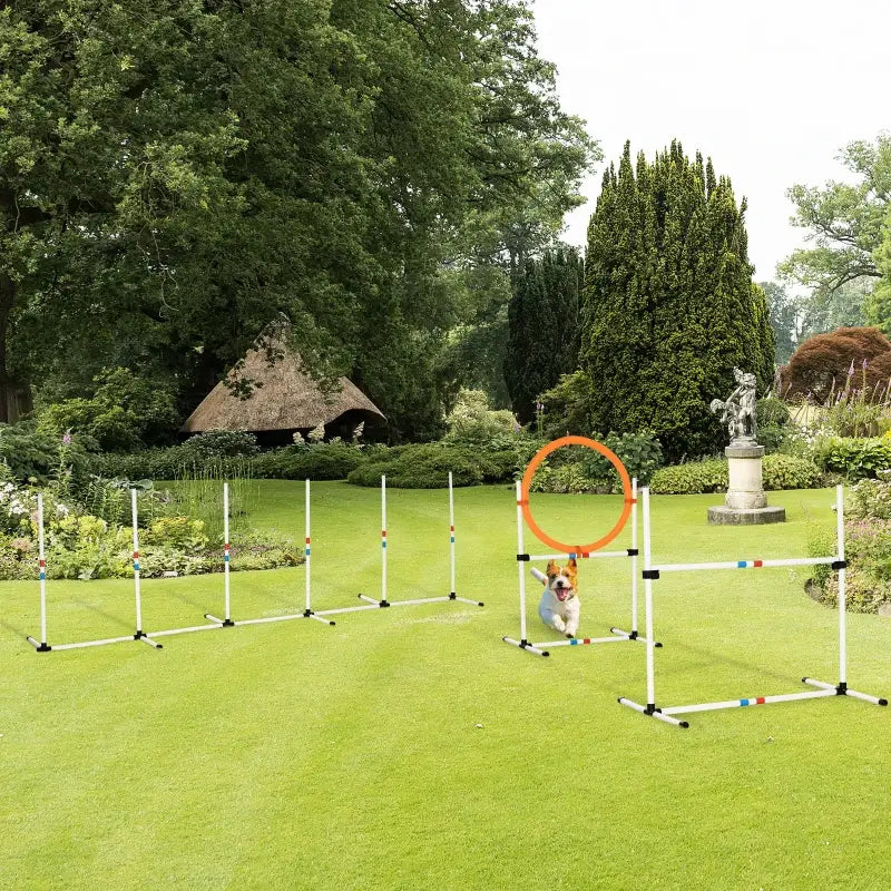 PawHut 3-tlg. Hunde Agility Set