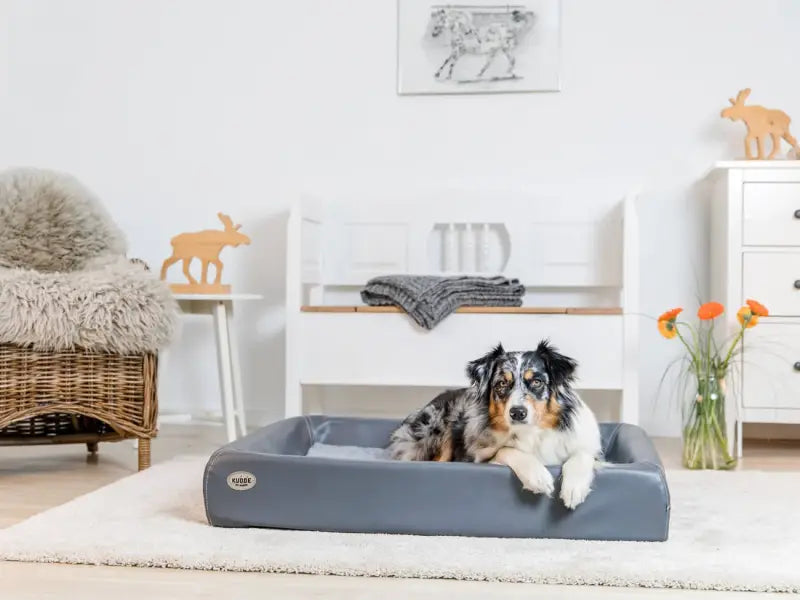 Hundebett KUDDE Kunstleder — Rot / 80x100cm