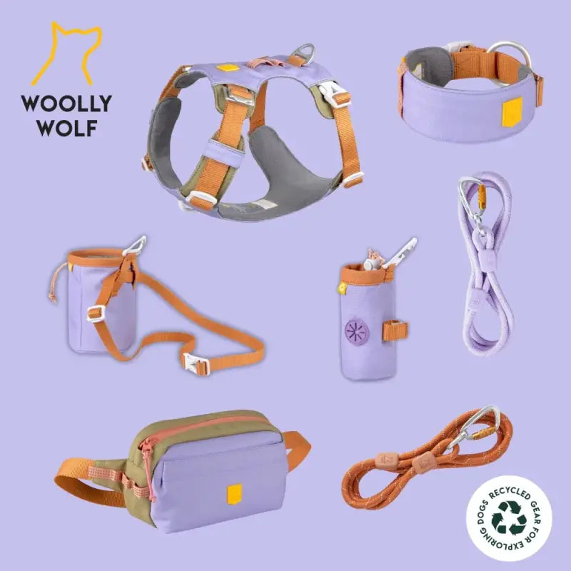 Woolly Wolf Rope Leash — Gletschergrün