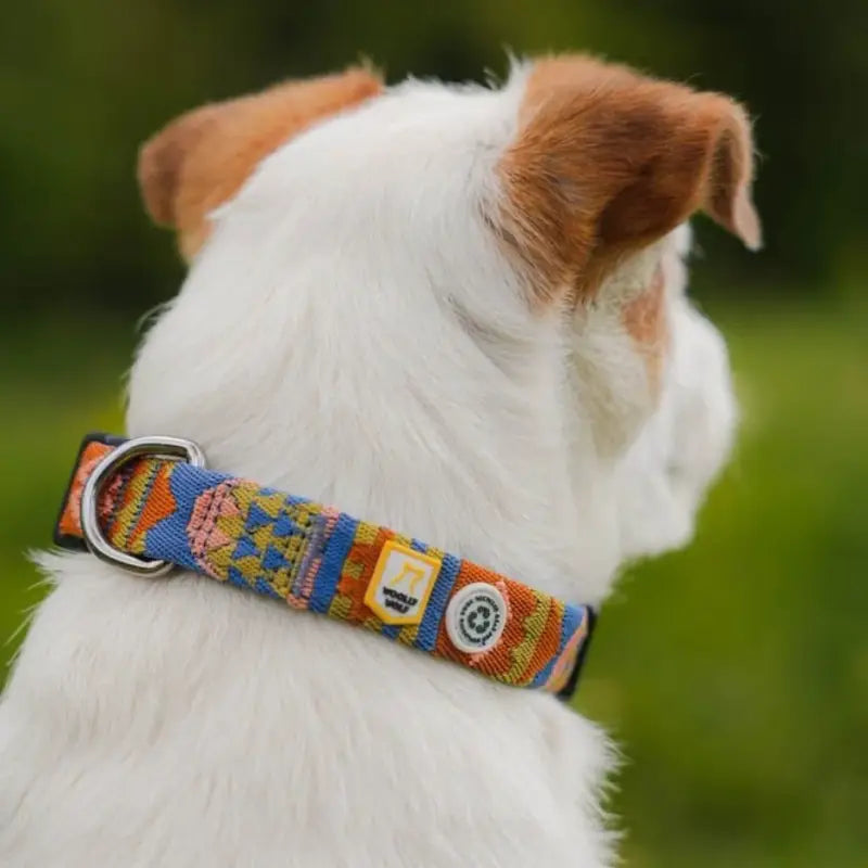 Woolly Wolf Nightless Night Collar — XS: 15-25cm
